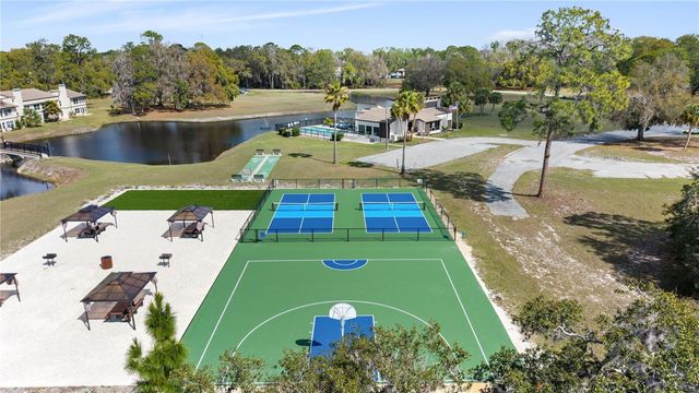 17203 SANDALWOOD DRIVE, Wildwood, FL 34785