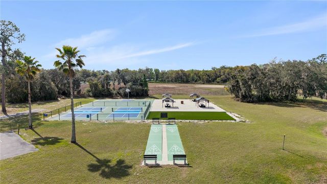 17203 SANDALWOOD DRIVE, Wildwood, FL 34785