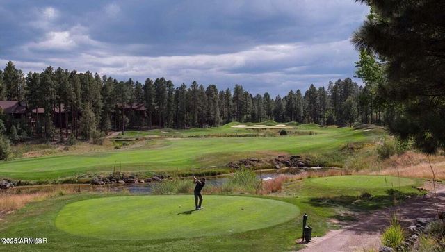 1301 S Lakeside Trail, Show Low, AZ 85901