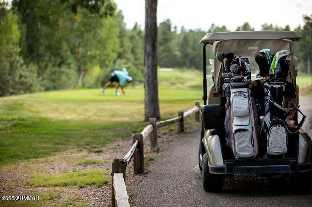 1301 S Lakeside Trail, Show Low, AZ 85901