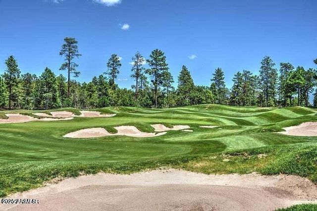 1301 S Lakeside Trail, Show Low, AZ 85901