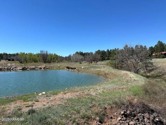 1301 S Lakeside Trail, Show Low, AZ 85901