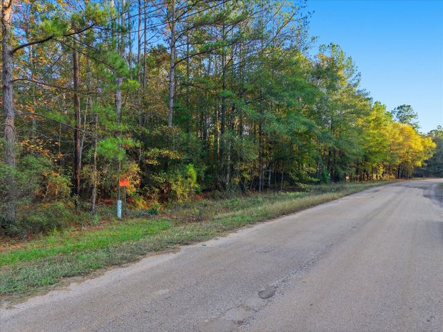 0 Lee Drive, Cleveland, TX 77328