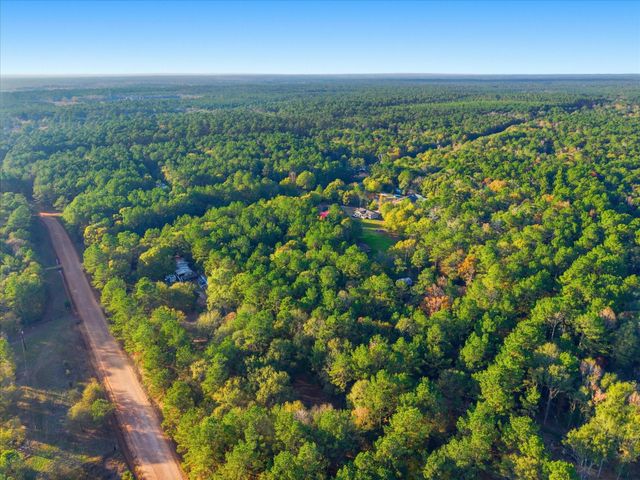 0 Lee Drive, Cleveland, TX 77328