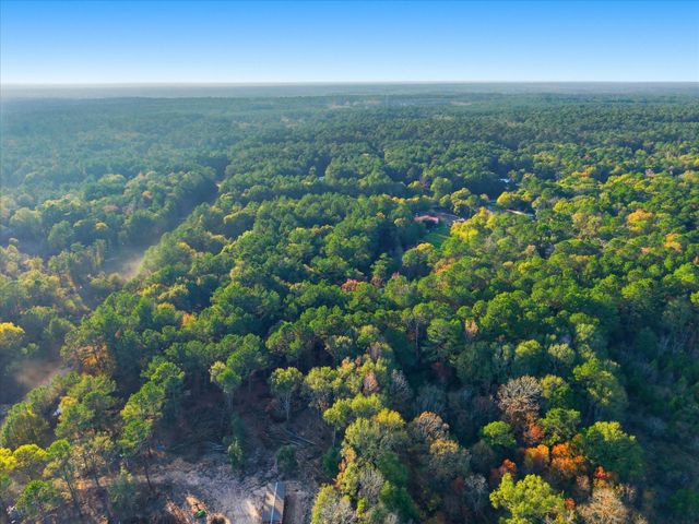 0 Lee Drive, Cleveland, TX 77328