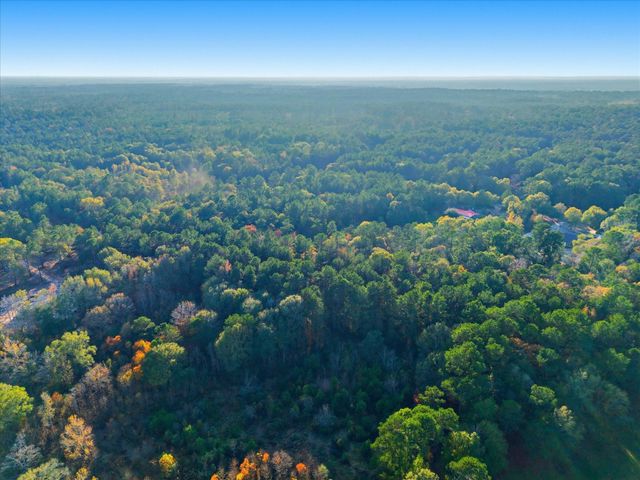 0 Lee Drive, Cleveland, TX 77328