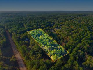 0 Lee Drive, Cleveland, TX 77328