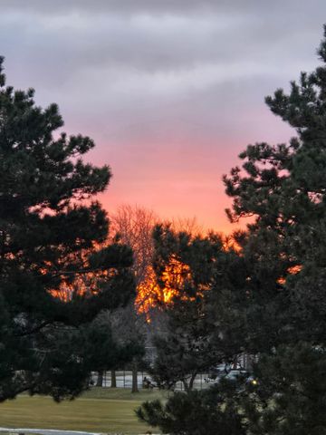 417 Country Club Drive, Saint Clair Shores, MI 48082