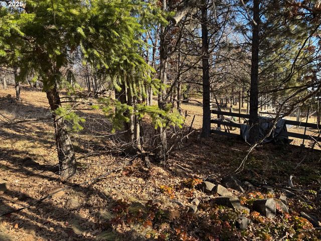 345 OAK PARK Dr, Wamic, OR 97063