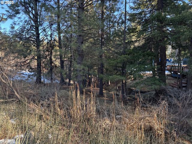 345 OAK PARK Dr, Wamic, OR 97063