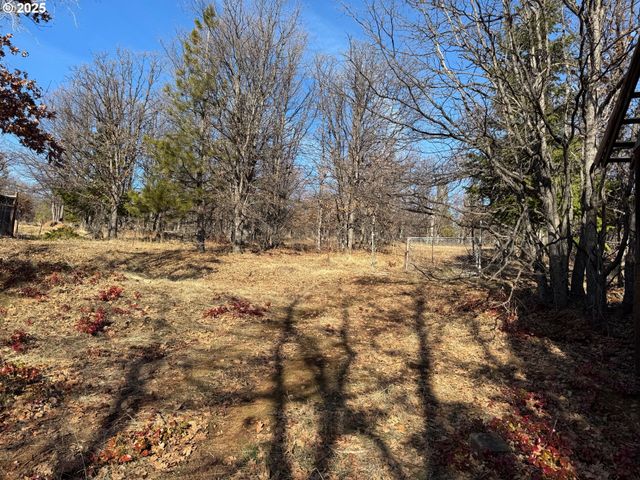 345 OAK PARK Dr, Wamic, OR 97063