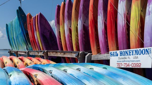 8 GLENCOE PLACE 104, Dunedin, FL 34698