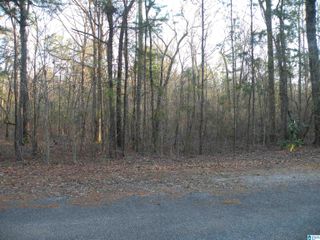 0 BILLINGSLEY DRIVE, Childersburg, AL 35044