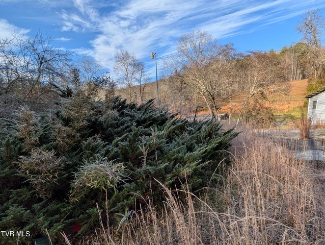 9304 Hunters Valley West Road, Duffield, VA 24244