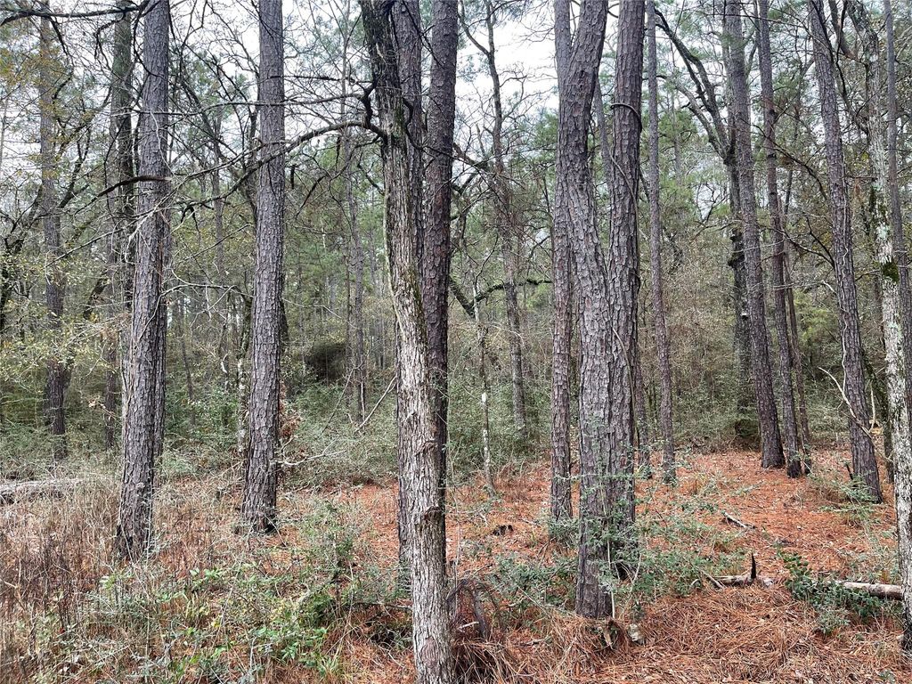 lot 20 Hackberry Drive, Plantersville, TX 77363