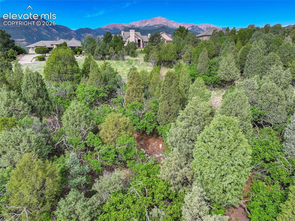 3585 Twisted Oak Circle, Colorado Springs, CO 80904 — photo 2