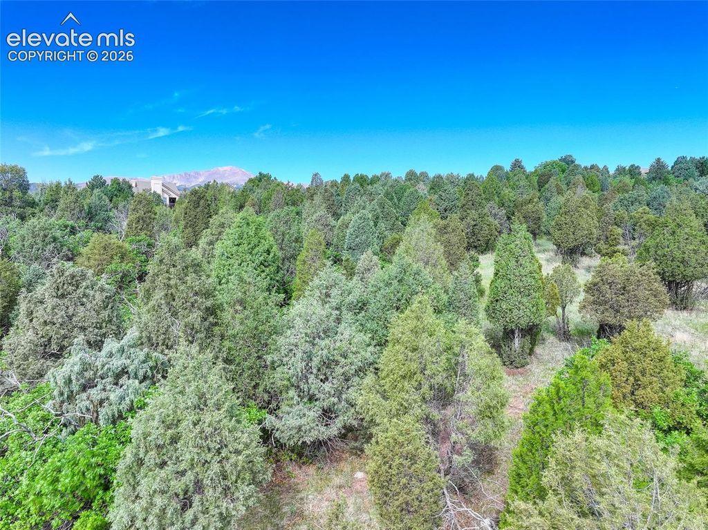 3585 Twisted Oak Circle, Colorado Springs, CO 80904 — photo 3