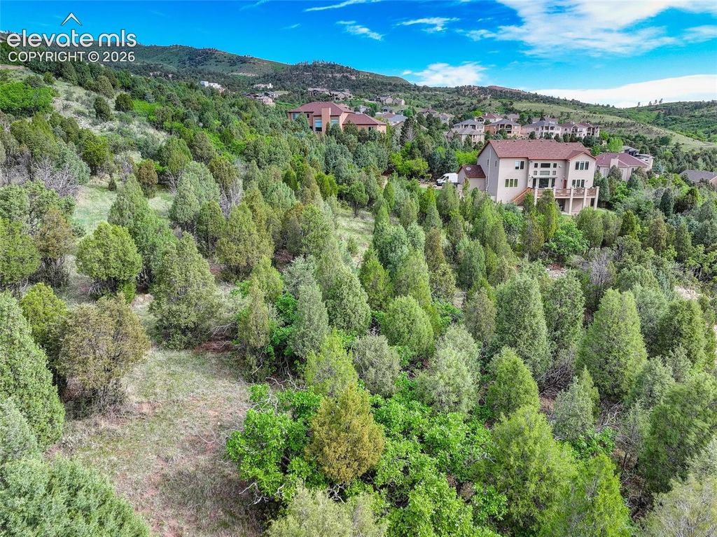 3585 Twisted Oak Circle, Colorado Springs, CO 80904 — photo 5