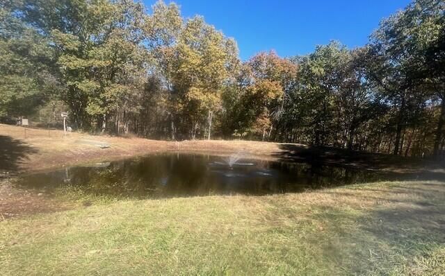 10477 Am Highway, Mountain Grove, MO 65711