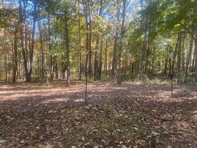 10477 Am Highway, Mountain Grove, MO 65711