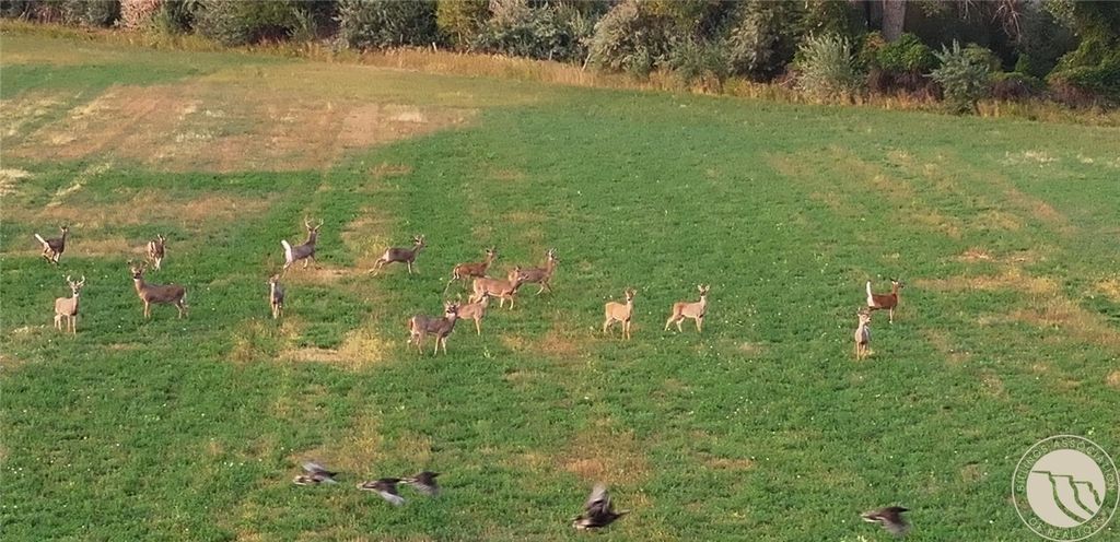 TBD Christensen ROAD, Billings, MT 59101 photo 10