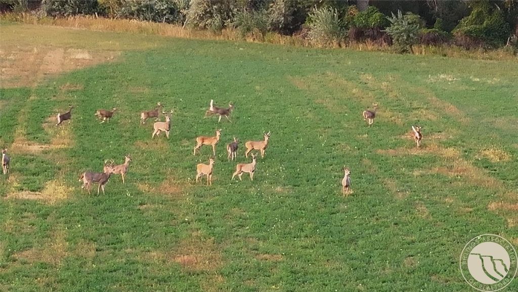 TBD Christensen ROAD, Billings, MT 59101 photo 12