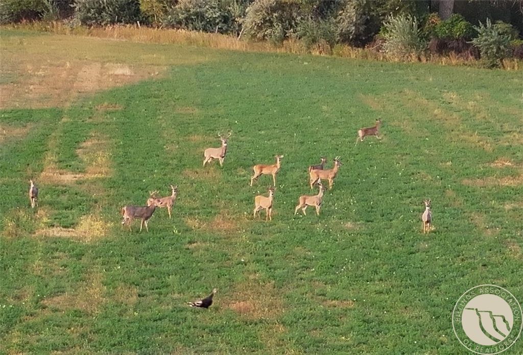 TBD Christensen ROAD, Billings, MT 59101 photo 14