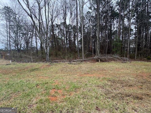 0 Brown Bridge Road, Covington, GA 30016