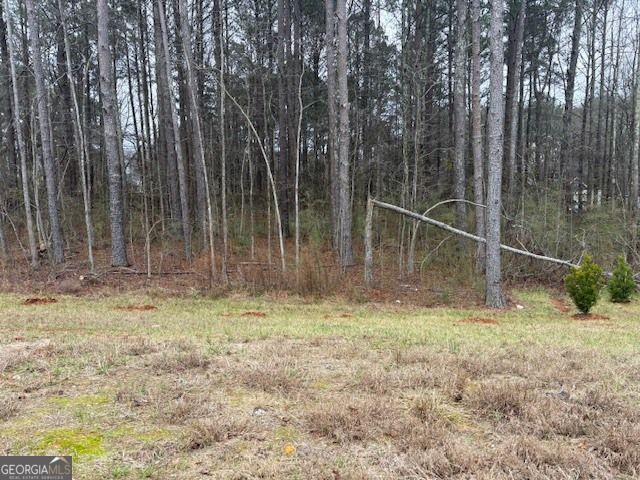 0 Brown Bridge Road, Covington, GA 30016