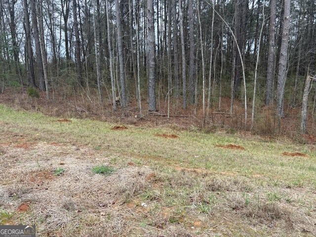 0 Brown Bridge Road, Covington, GA 30016