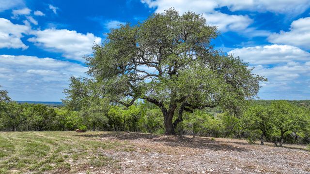12033 Summer Meadows, Spring Branch, TX 78070