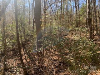 TRACT 4 JUSTUS VIEW Road TRACT 4, Hendersonville, NC 28739