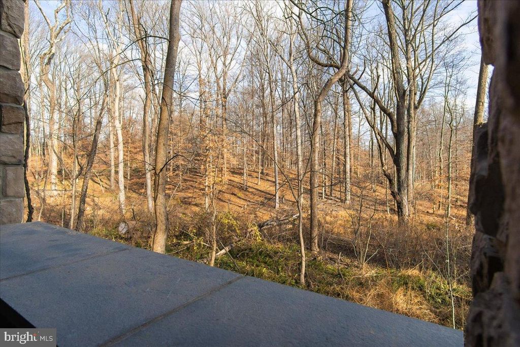 Image 83 of property listing at 3520 CASTLE WAY, Davidsonville, MD 21035