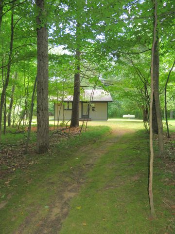 5620 N Utter Drive, Irons, MI 49644