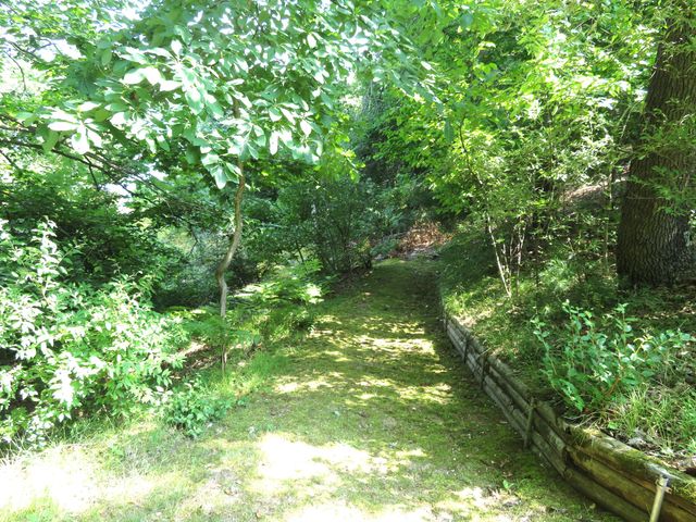 5620 N Utter Drive, Irons, MI 49644