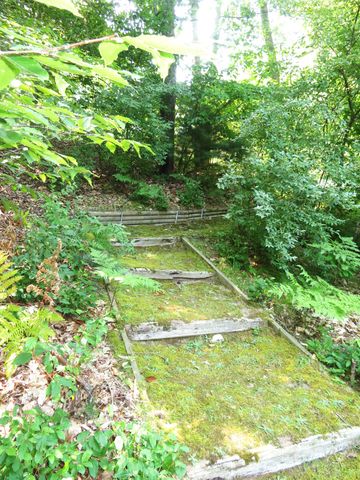 5620 N Utter Drive, Irons, MI 49644