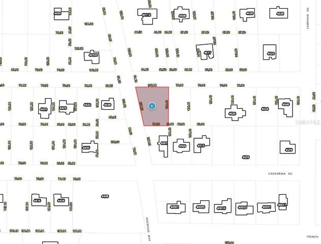 DOGWOOD WAY, Lady Lake, FL 32159