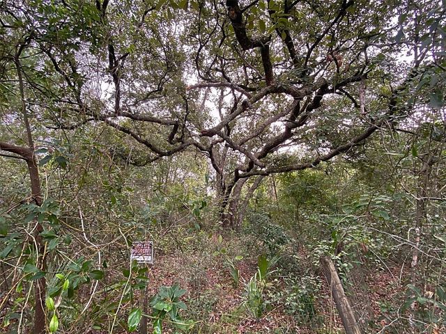 DOGWOOD WAY, Lady Lake, FL 32159