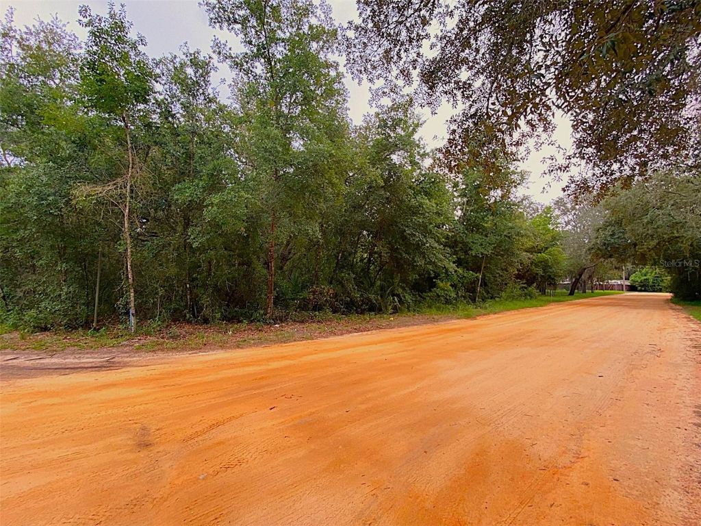 DOGWOOD WAY, Lady Lake, FL 32159