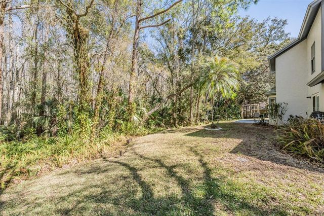 16105 STOWE COURT, Tampa, FL 33647