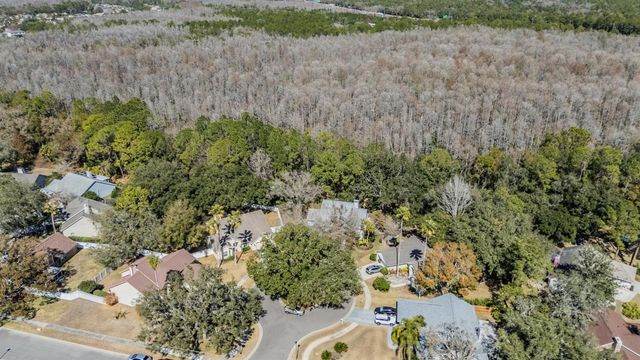 16105 STOWE COURT, Tampa, FL 33647