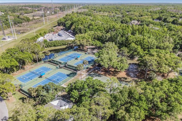 16105 STOWE COURT, Tampa, FL 33647