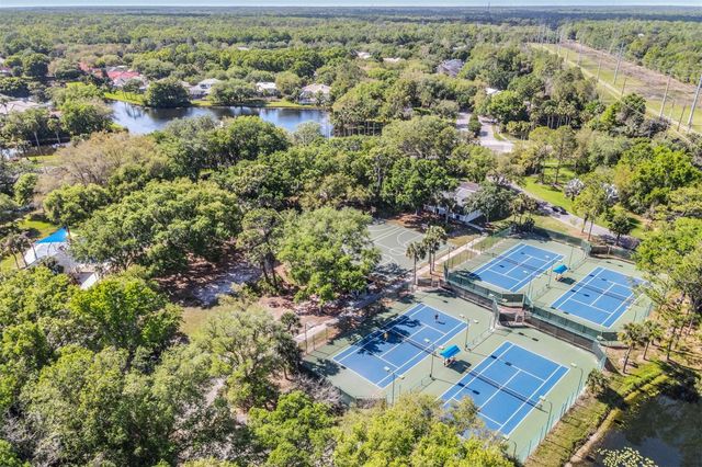 16105 STOWE COURT, Tampa, FL 33647