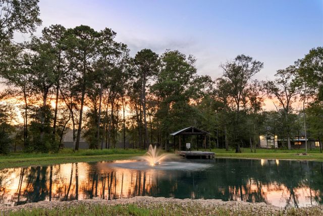 85 Plum Grove Road, New Caney, TX 77357