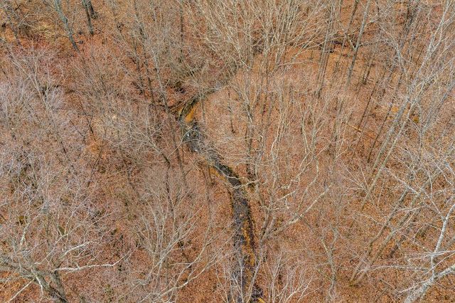 3944 Crawford Rd, Silver Point, TN 38582