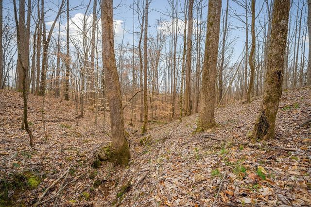 3944 Crawford Rd, Silver Point, TN 38582