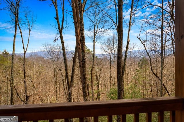 275 N Moreland Drive, Cherry Log, GA 30522