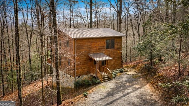 275 N Moreland Drive, Cherry Log, GA 30522