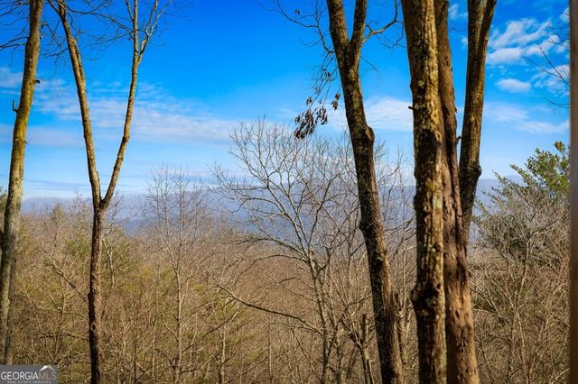 275 N Moreland Drive, Cherry Log, GA 30522