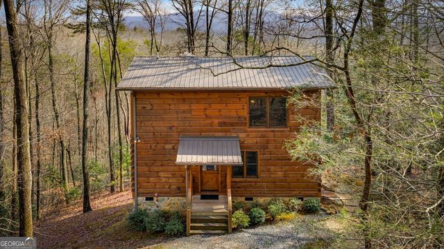 275 N Moreland Drive, Cherry Log, GA 30522